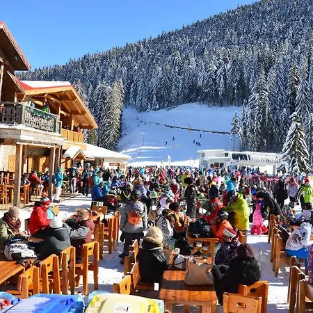 דירה In Dream בנסקו